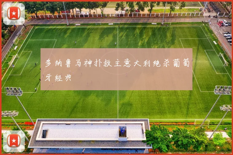 多纳鲁马神扑救主意大利绝杀葡萄牙经典