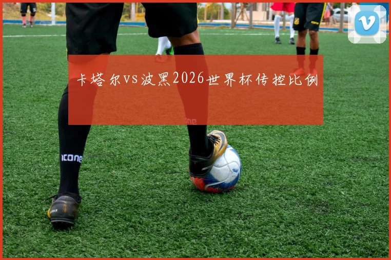 卡塔尔vs波黑2026世界杯传控比例