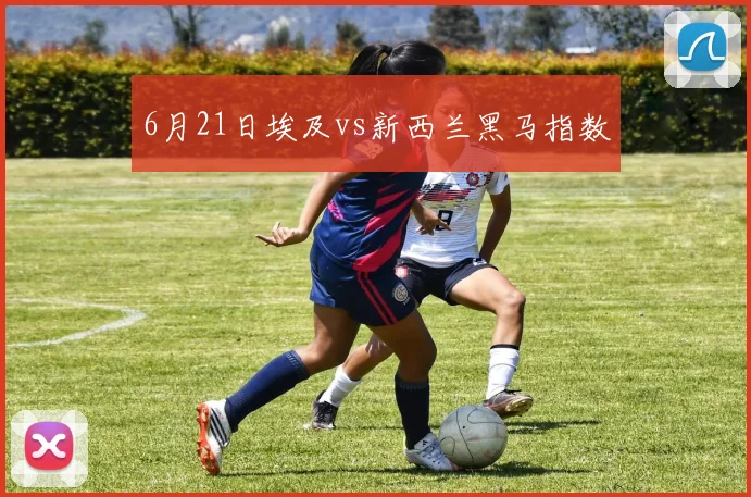 6月21日埃及vs新西兰黑马指数