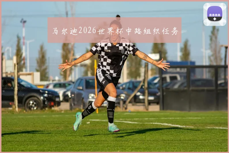 马尔迪2026世界杯中路组织任务