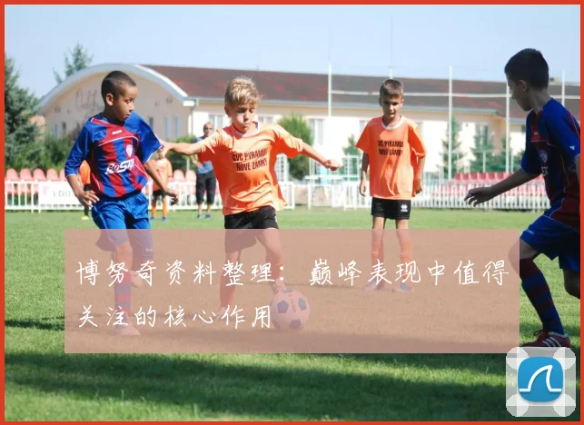 博努奇资料整理：巅峰表现中值得关注的核心作用