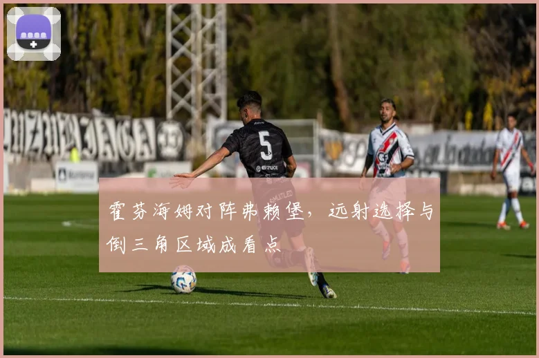 霍芬海姆对阵弗赖堡，远射选择与倒三角区域成看点