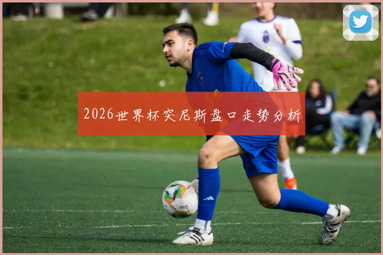 2026世界杯突尼斯盘口走势分析