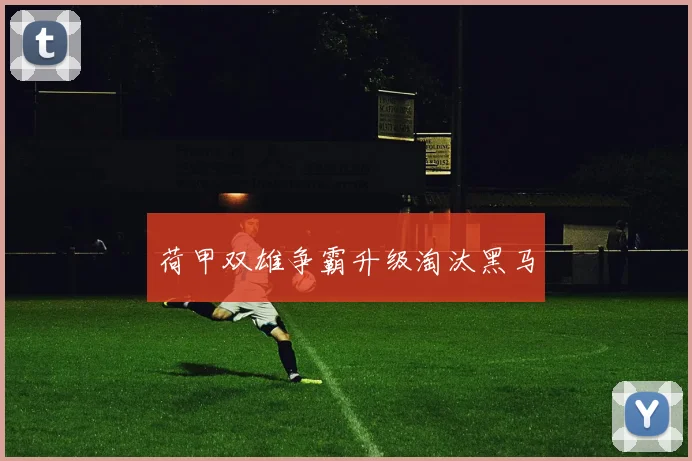 荷甲双雄争霸升级淘汰黑马