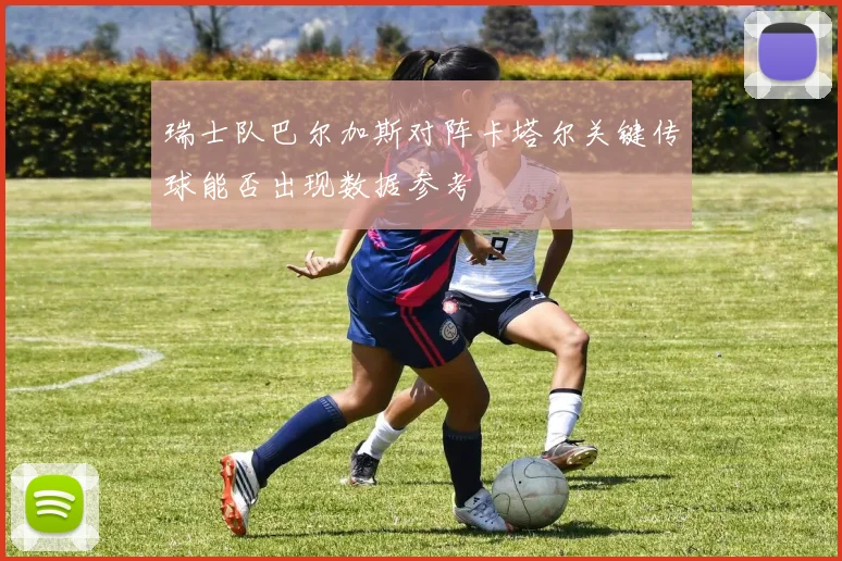 瑞士队巴尔加斯对阵卡塔尔关键传球能否出现数据参考